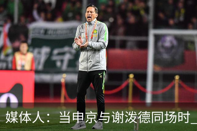 媒体人：当申京与谢泼德同场时 火箭的挡拆防守会被对手无情摧毁